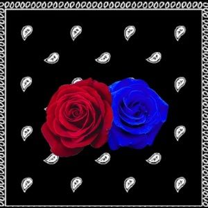 Meet your Posher, Bianka